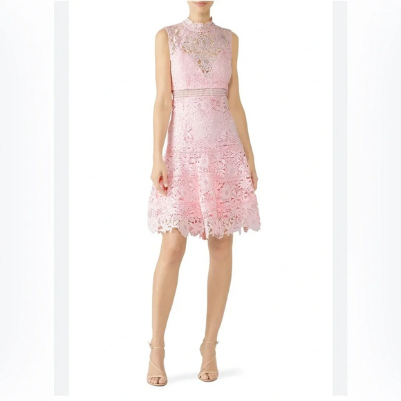 BARDOT Elise Soft Pale Pink Lace  Dress Size 4 NWT - Picture 1 of 12